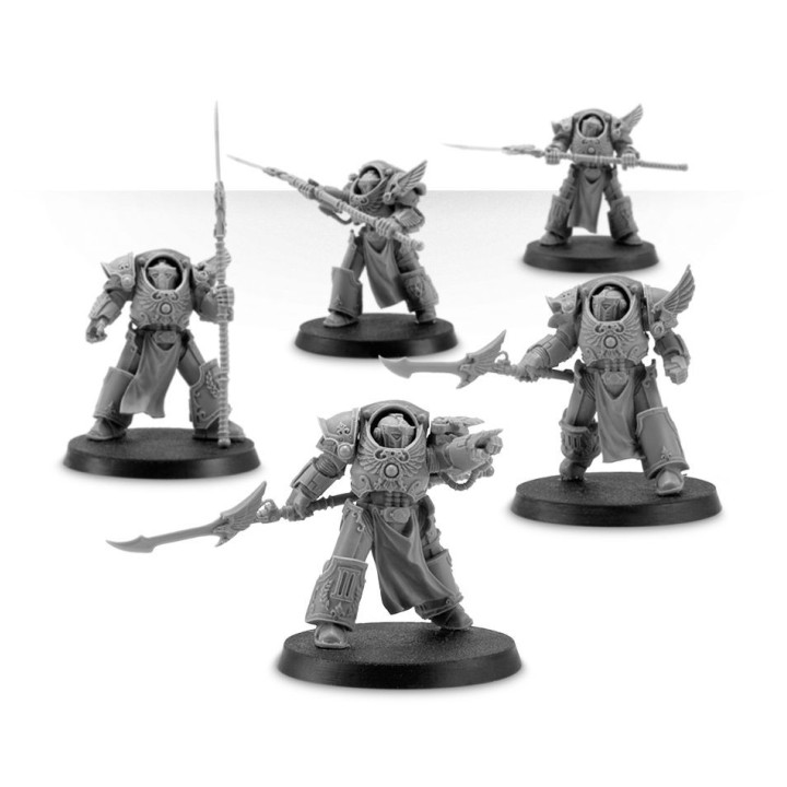 Emperor's Children Phoenix Terminators - FORCE ORGANISATION