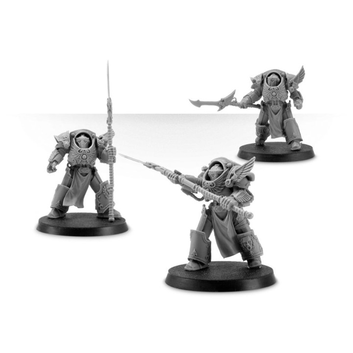 Emperor's Children Phoenix Terminators - FORCE ORGANISATION