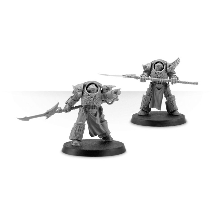 Emperor's Children Phoenix Terminators - FORCE ORGANISATION