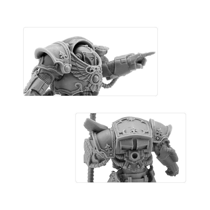Emperor's Children Phoenix Terminators - FORCE ORGANISATION