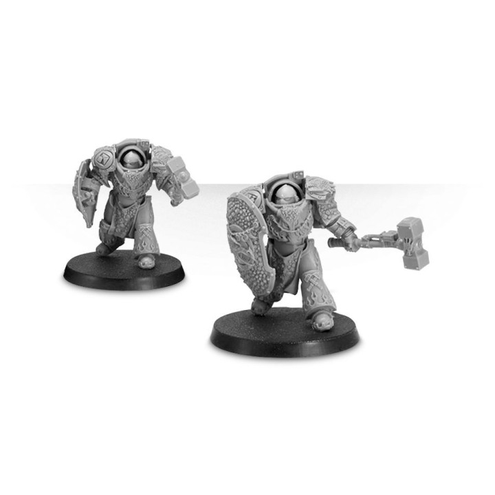 Salamanders Legion Firedrakes - FORCE ORGANISATION