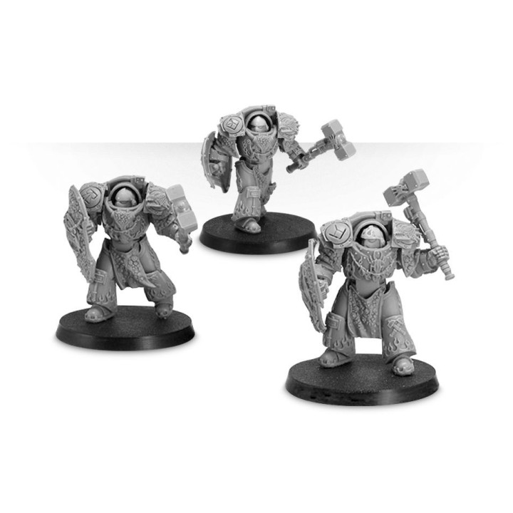 Salamanders Legion Firedrakes - FORCE ORGANISATION