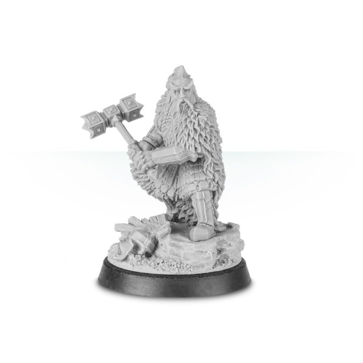 THE HOBBIT - BIEN - Dáin Ironfoot™, Lord of the Iron Hills