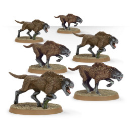 THE LORD OF THE RINGS - MAL - Wild Wargs™