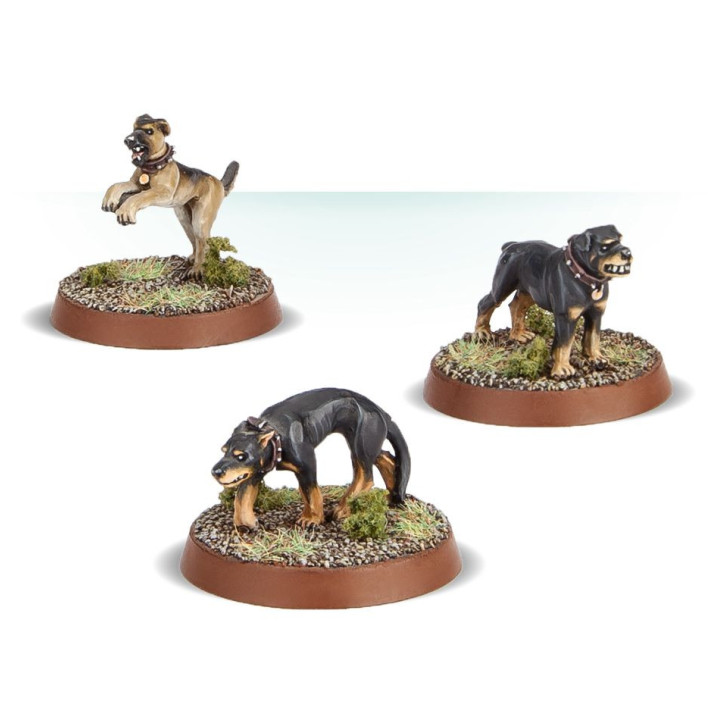 THE LORD OF THE RINGS - BIEN - Farmer Maggot & Hounds