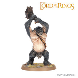 THE LORD OF THE RINGS - MAL - Cave Troll