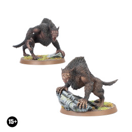 THE LORD OF THE RINGS - MAL - Werewolves of Angmar™