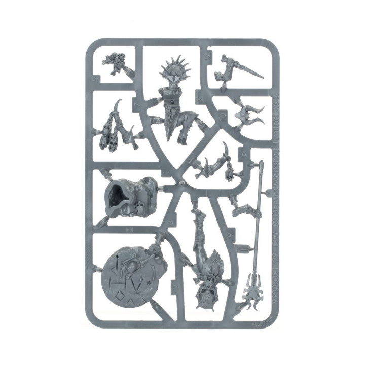 Ritualista Sfregiaregni - FIGURE