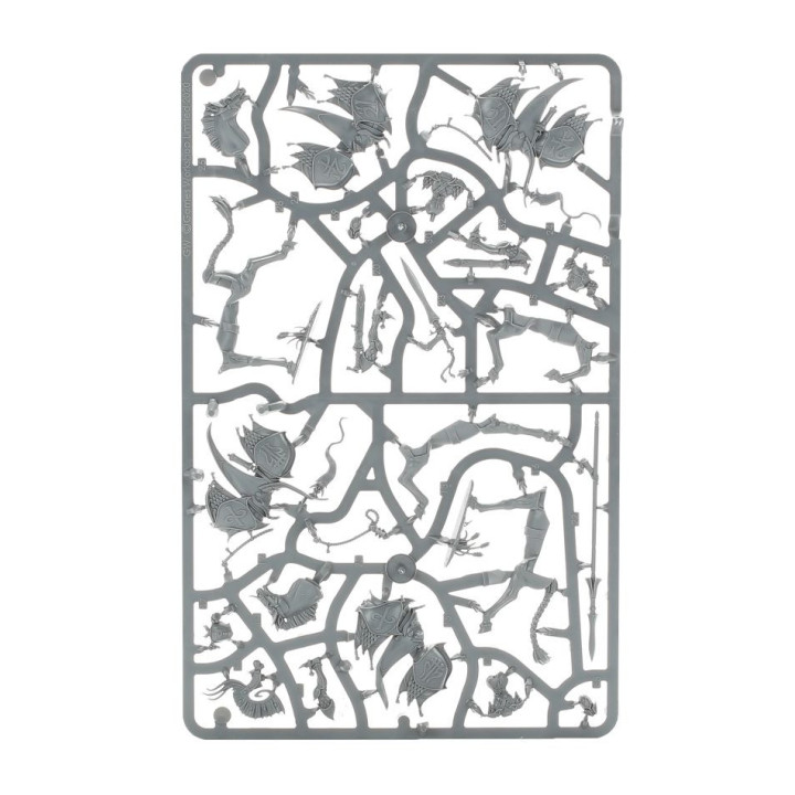 GRAND ALLIANCE ORDER - Vanari Dawnriders