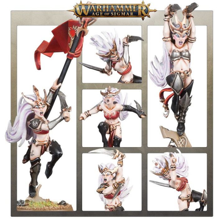 Witch Aelves - GRAND ALLIANCE ORDER