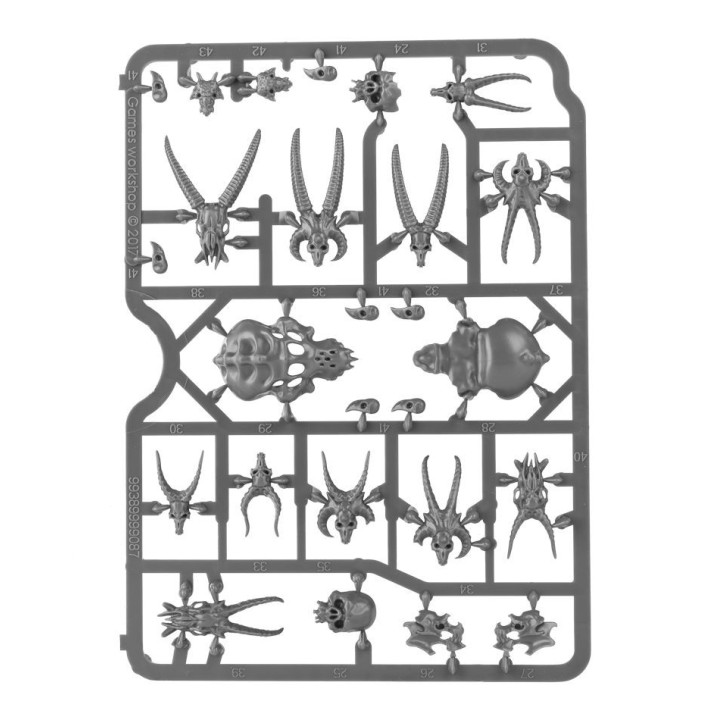 ACCESSOIRES - Citadel Skulls