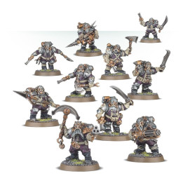 Compagnia di Arcanauti - GRAND ALLIANCE ORDER