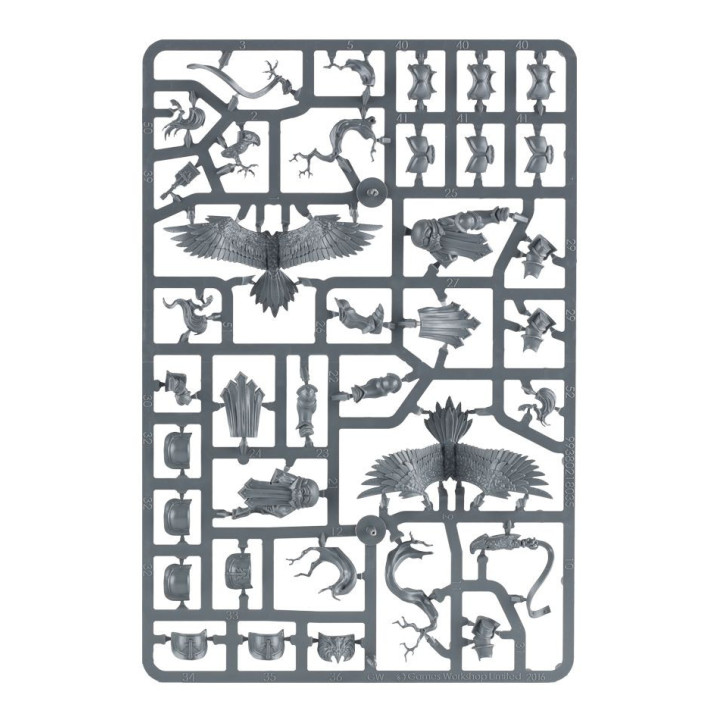 Vanguard-Raptors With Hurricane Crossbows & Aetherwings - GRAND ALLIANCE ORDER