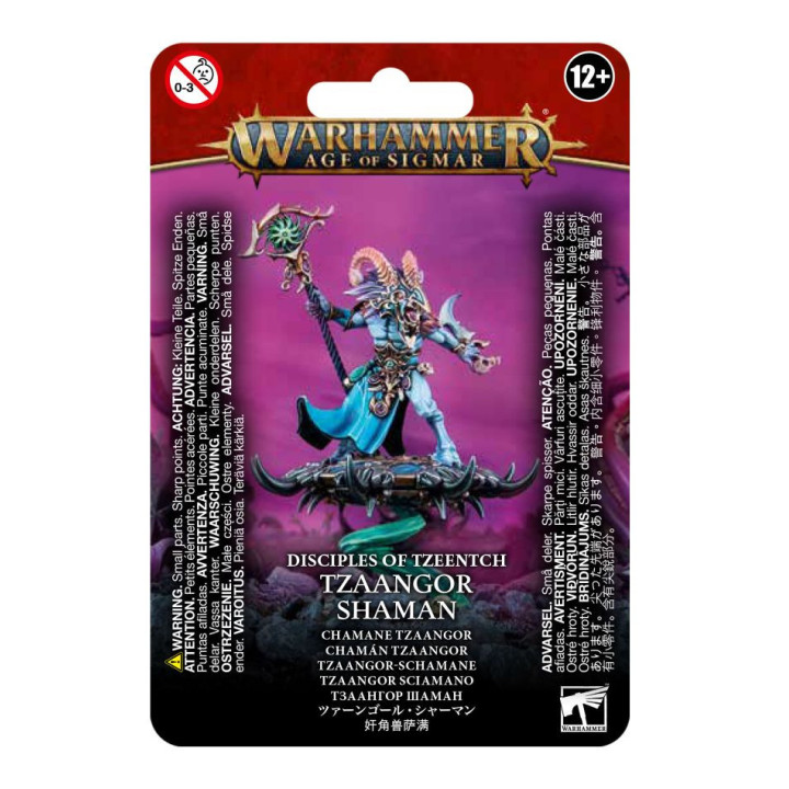 FIGURINES - Tzaangor Shaman