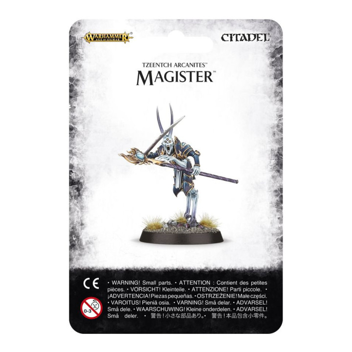 FIGURINES - Magister