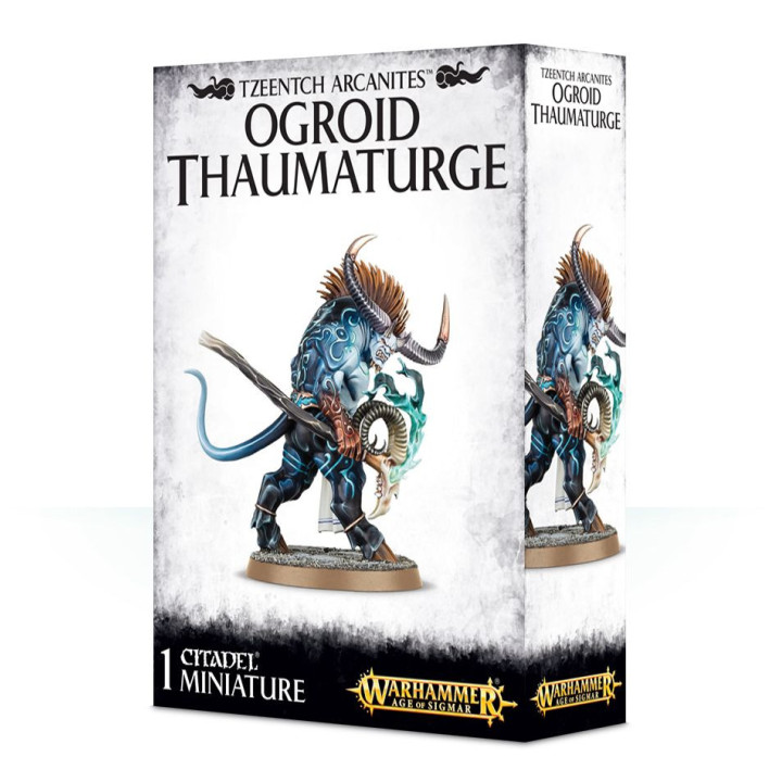 FIGURINES - Ogroid Thaumaturge