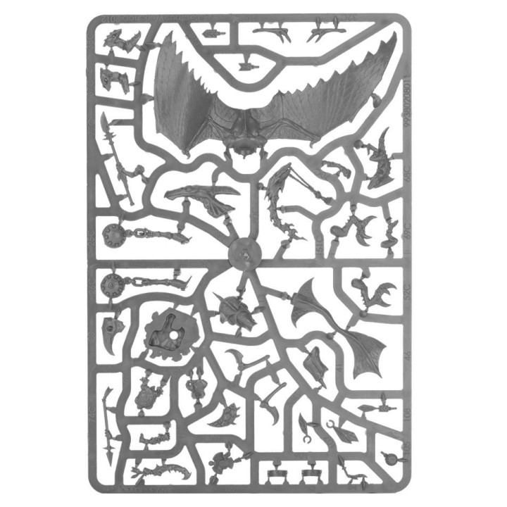 GRAND ALLIANCE ORDER - Chevaucheurs de Terradons
