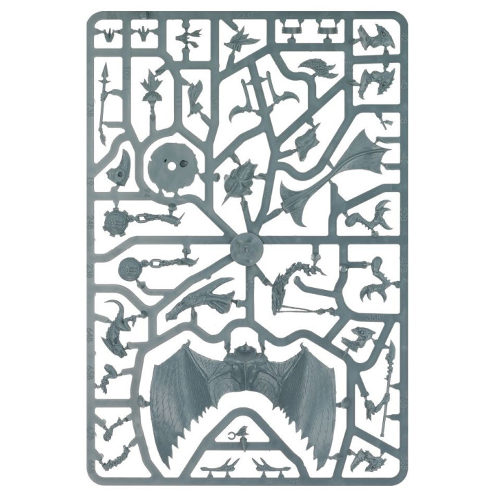 GRAND ALLIANCE ORDER - Chevaucheurs de Terradons