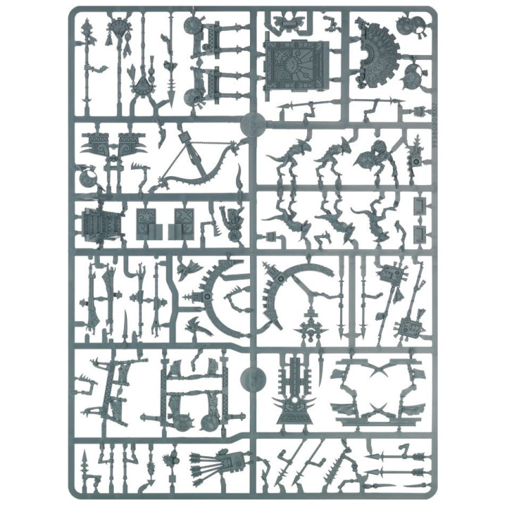 Stegadonte - GRAND ALLIANCE ORDER