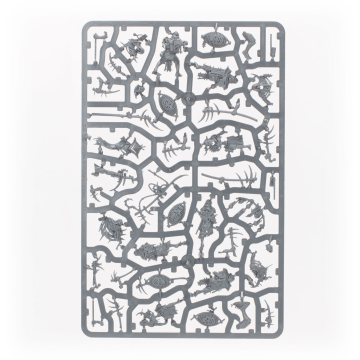 FIGURINES - Bataillon de Putrescents de Nurgle: Kyste de la Tremblose