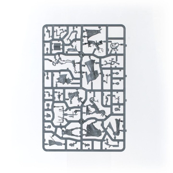FIGURINES - Bataillon des Cités de Sigmar: Incursion Fondatrice