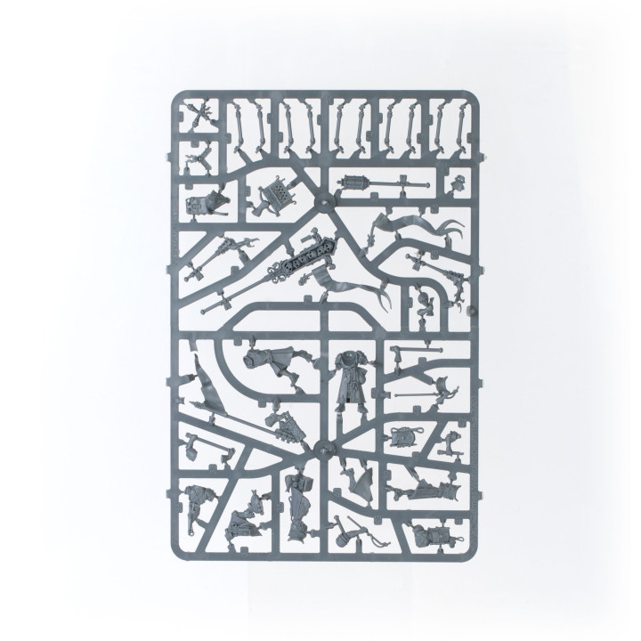 Cities of Sigmar Battleforce: Founding Foray - MINIS