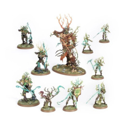 Spearhead: Sylvaneth - START COLLECTING