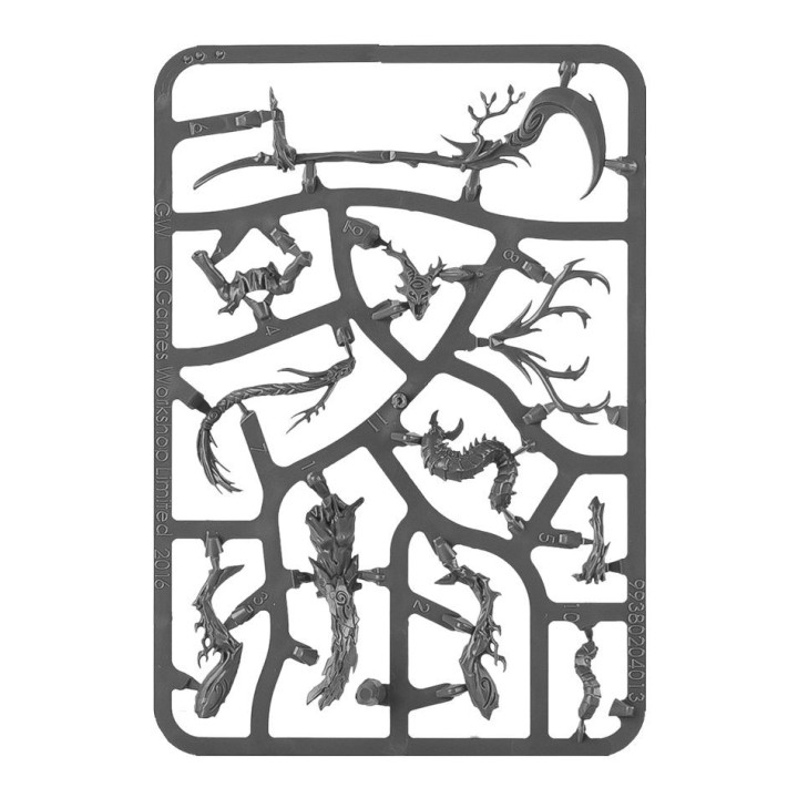 Speerspitze der Sylvaneth - START COLLECTING