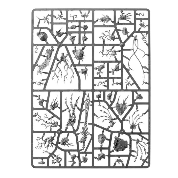 Spearhead: Sylvaneth - START COLLECTING