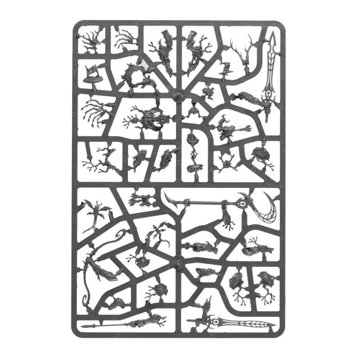 Spearhead: Sylvaneth - START COLLECTING