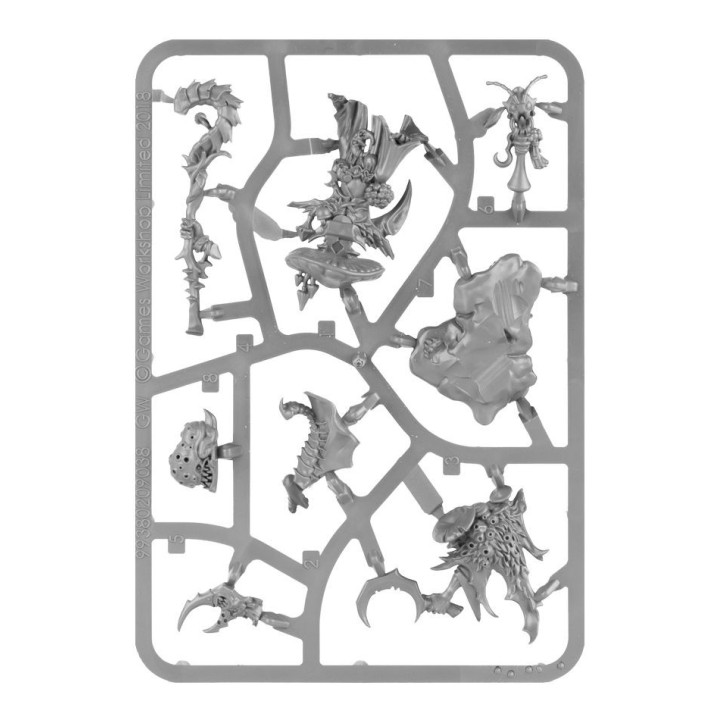 GRAND ALLIANCE DESTRUCTION - Fungoid Cave-Shaman