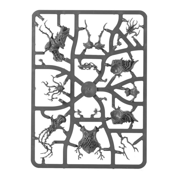Drycha Hamadreth - MINIS