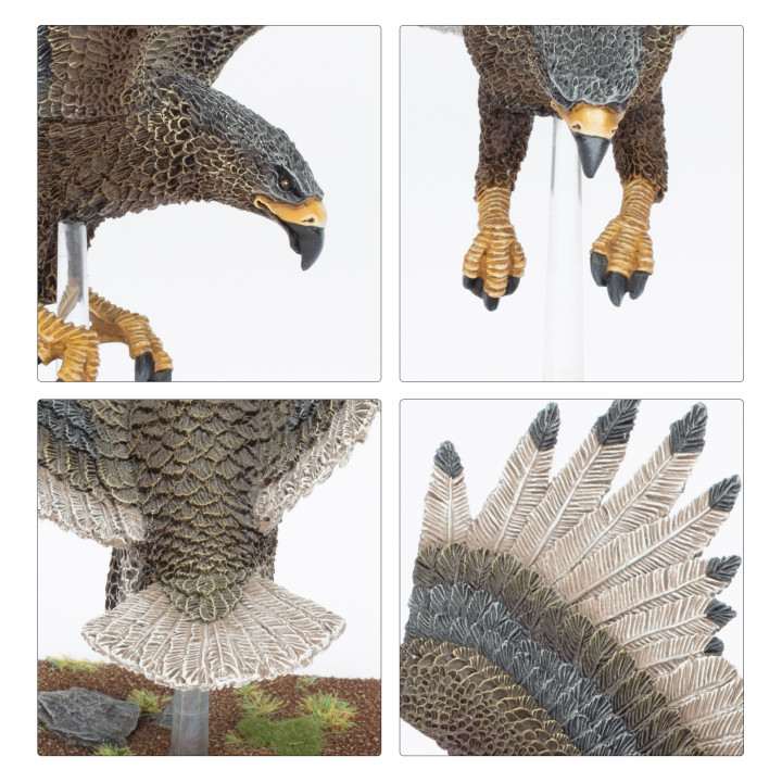 HIGH ELF - Grand Aigle des Royaumes Hauts Elfes