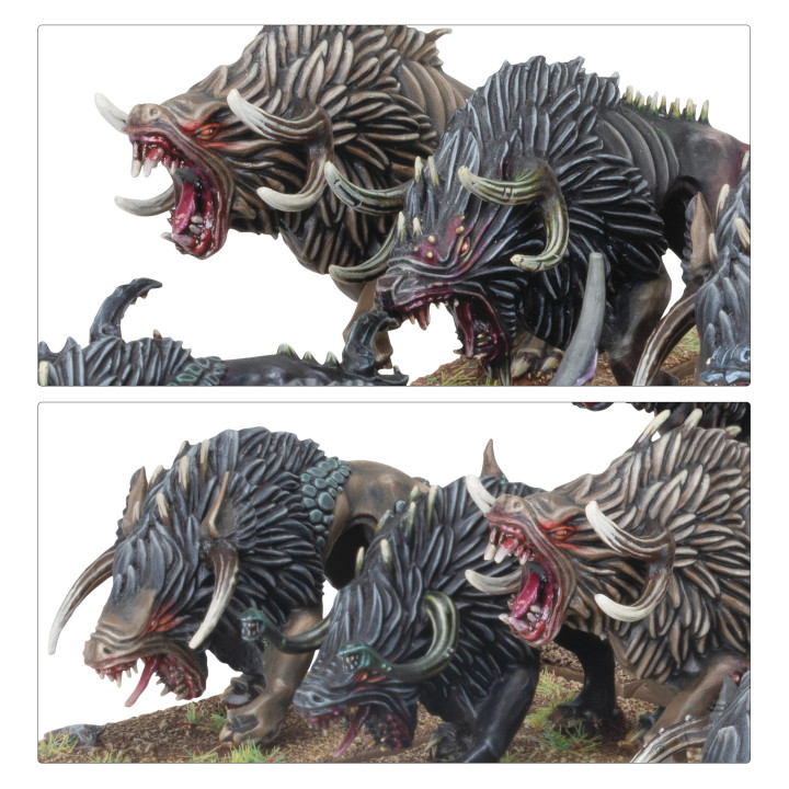 WARRIORS OF CHAOS - Chiens du Chaos