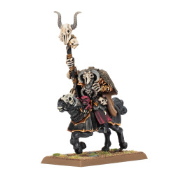 Hexer des Chaos auf Chaosross - WARRIORS OF CHAOS