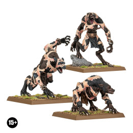 WARRIORS OF CHAOS - Loups Écorcheurs