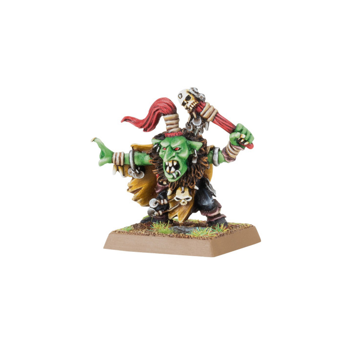 Goblin Shamans - Orc et Gobelins