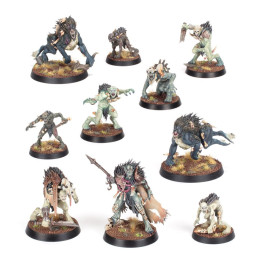 FIGURINES - Warcry: Dépeceurs Royaux