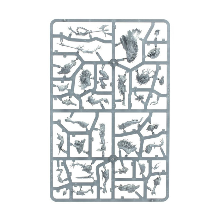 Warcry: Royal Beastflayers - MINIS