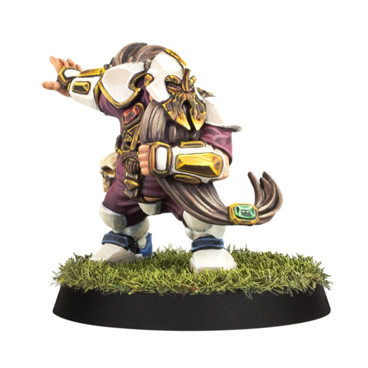 FIGURINES - Équipe de Blood Bowl de l'Alliance du Vieux Monde – Middenheim Maulers