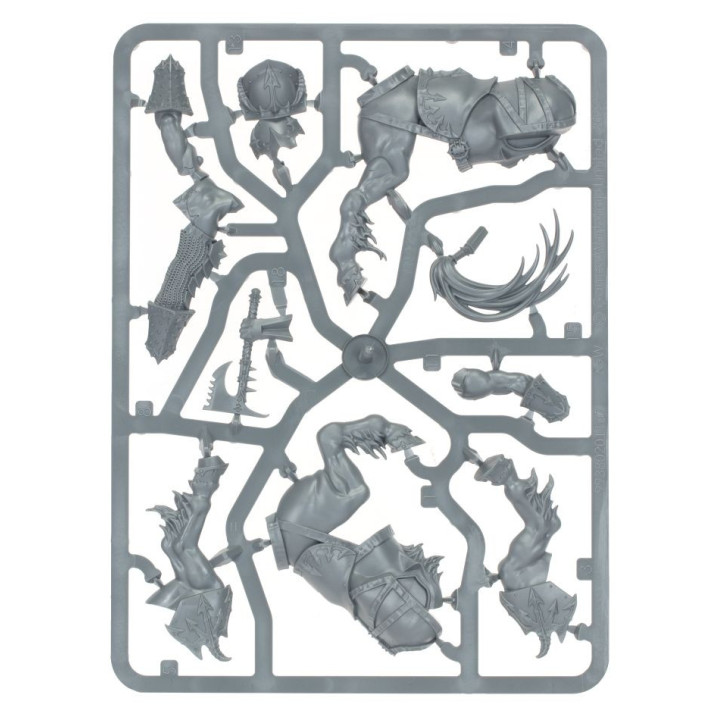 FIGURINES - Warcry: Maréchal Centaurion