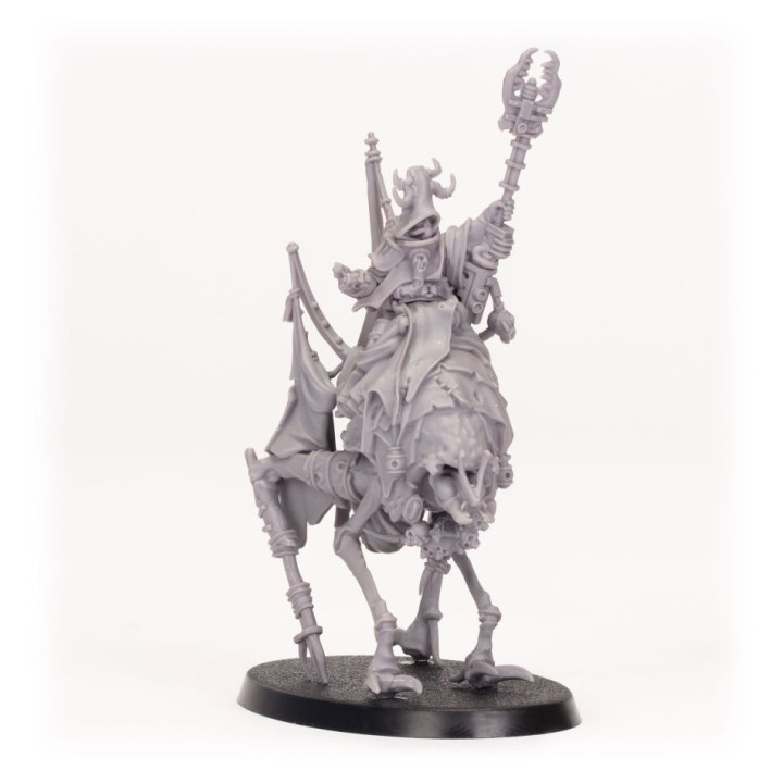 NECROMUNDA - Ash Waste Nomads Wy'tari Stormcaller