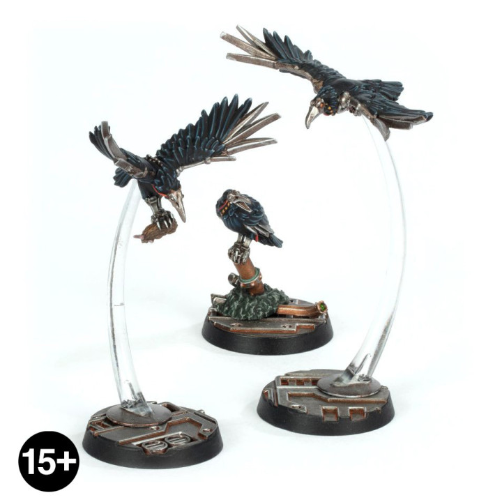 Cawdor Sheen Birds - NECROMUNDA