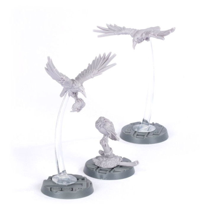 Cawdor Sheen Birds - NECROMUNDA