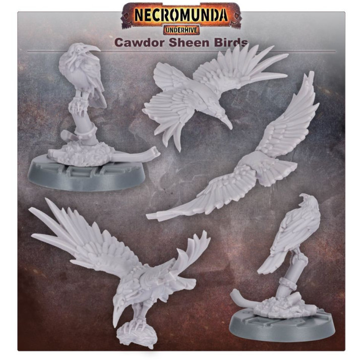 Cawdor Sheen Birds - NECROMUNDA