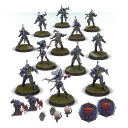 FIGURINES - Équipe de Blood Bowl d'Elfes Noirs: Naggaroth Nightmares