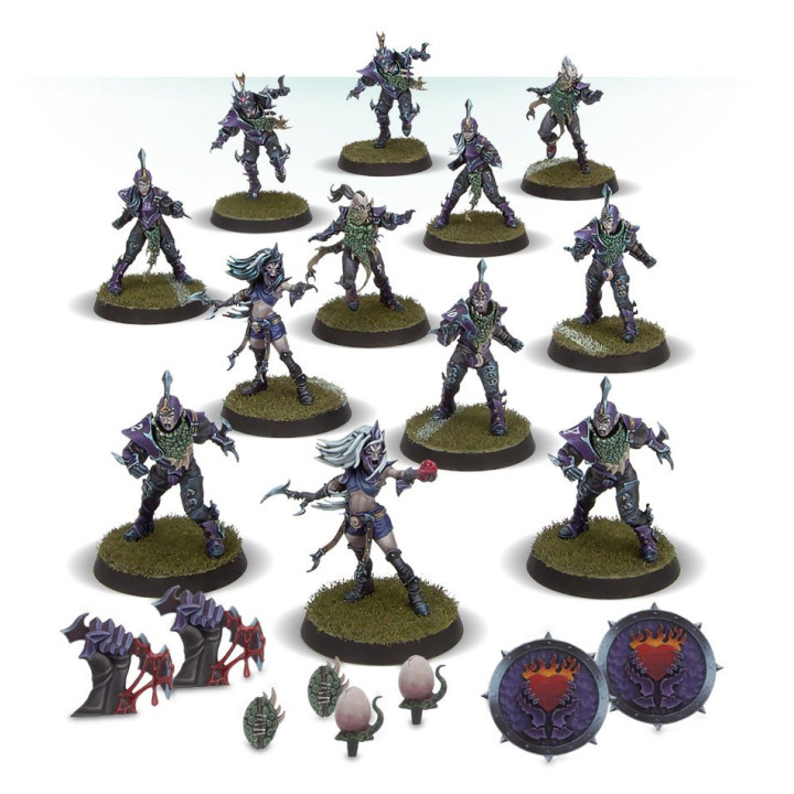 FIGURINES - Équipe de Blood Bowl d'Elfes Noirs: Naggaroth Nightmares