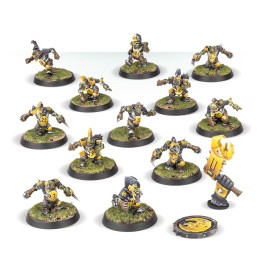Goblin Team: Scarcrag Snivellers - MINIS