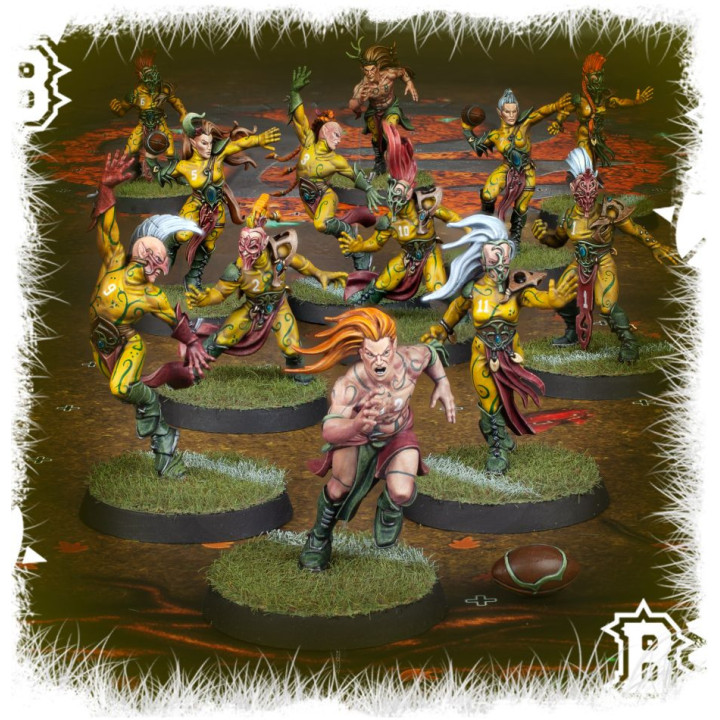 Wood Elf Blood Bowl Team – Athelorn Avengers - MINIS