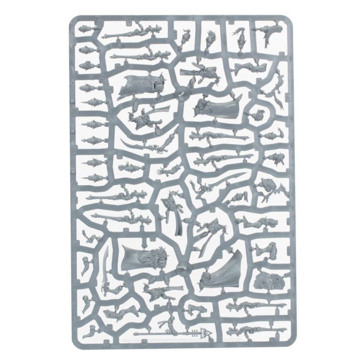 Kill Team: Sternwunden-Korsaren - SPIELKISTEN